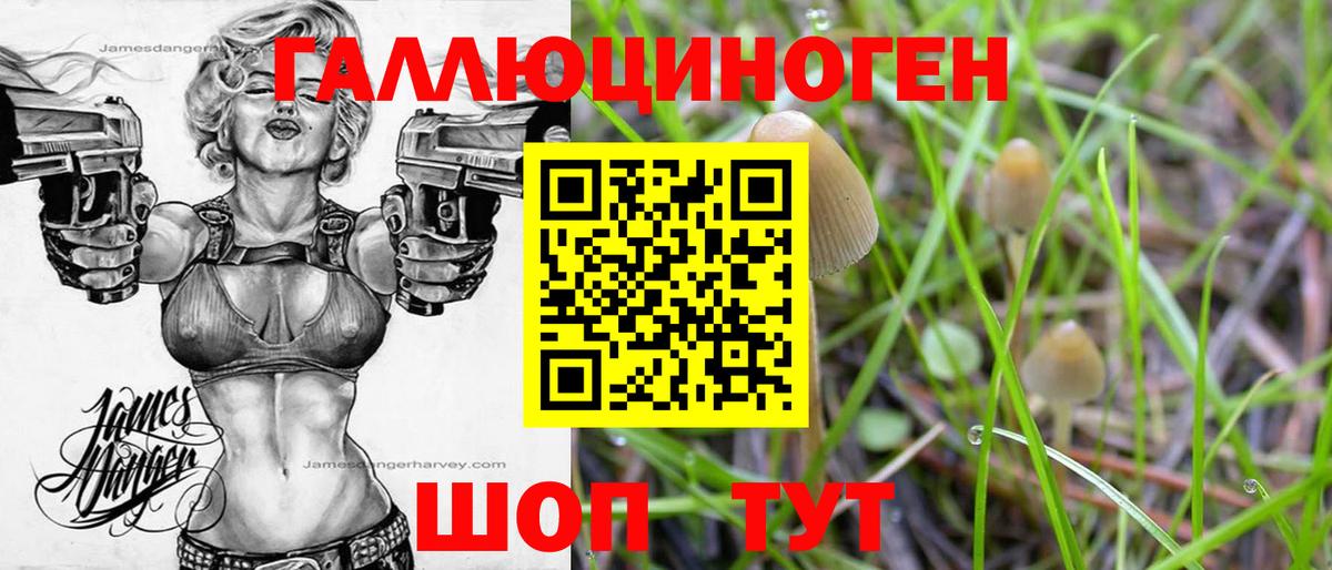 Псков  ГАШ  ГАШ  Кокаин  Вход с VPN  МЕФ кристаллы  ГЕРОИН 