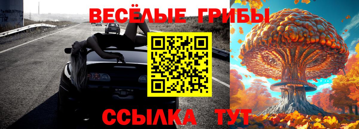 Псков  Галлюциногенные грибы Psilocybe  Галлюциногенные грибы Psilocybine cubensis  Вход с VPN 